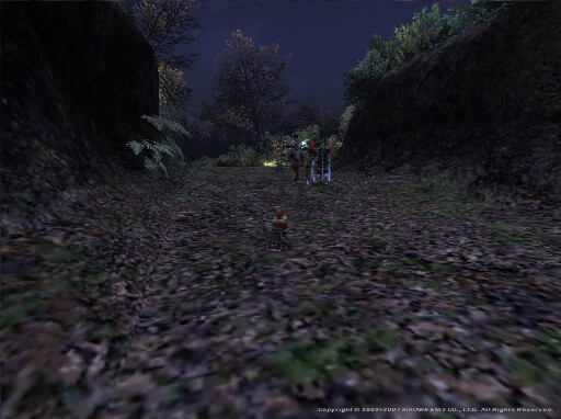 心折れそうになってます(笑)